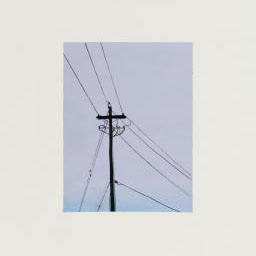 utility poll, power lines attached, pastel purple sky.