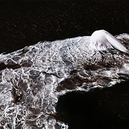 aerial view, waves crashing into ripples, white sheet blending in water.