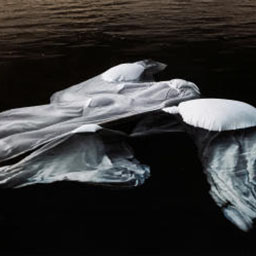 aerial view, white sheet floating in dark water, creating wave-like shapes.