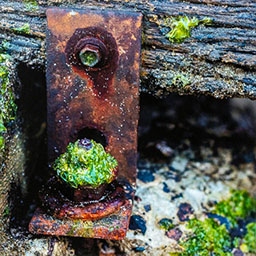 close-up of rusted bolt and hinge on natural wooden plank.