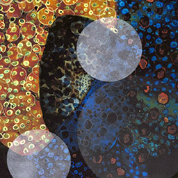 Yellow, blue and orange abstract image containing many circles