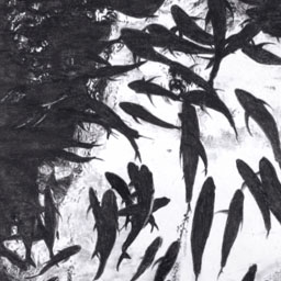 Black and white image of a school of fish