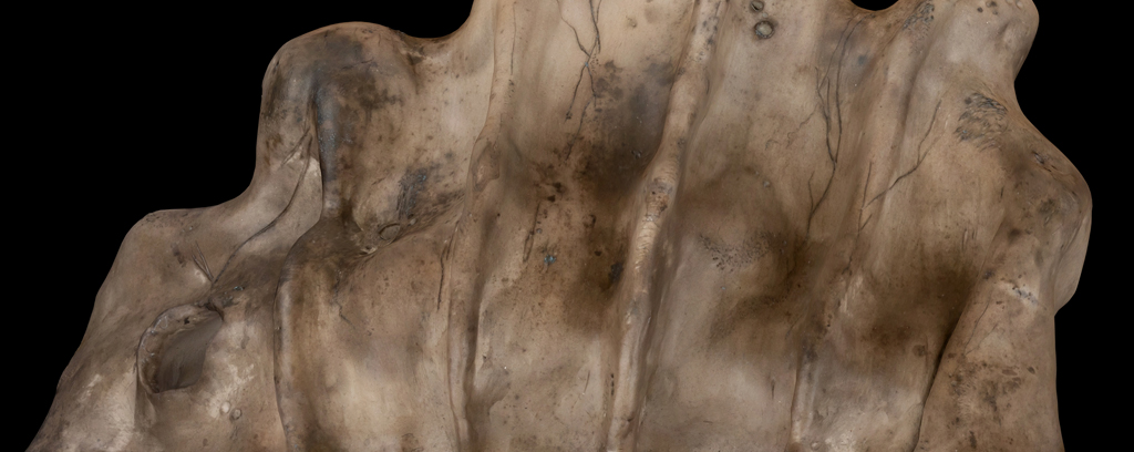 Close up of Body of Work